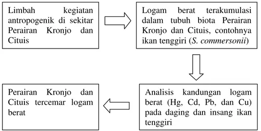 Gambar 1  Kerangka pemikiran penelitian analisis kandungan logam  berat        pada ikan tenggiri (S.commersonii) di Perairan Pesisir Tangerang  