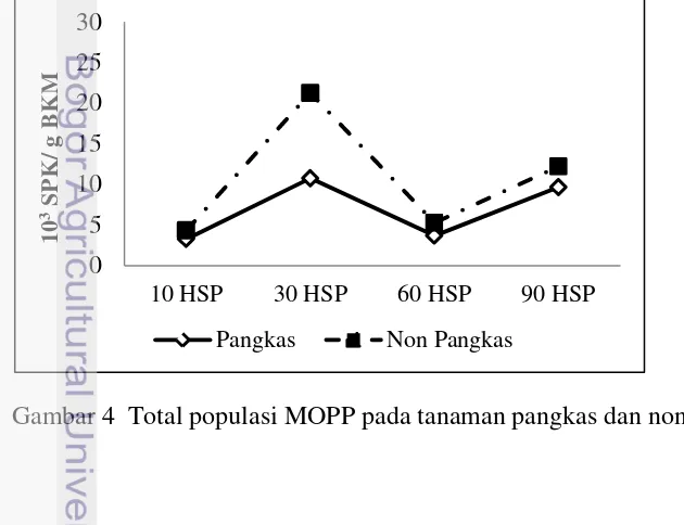 Gambar 4  Total populasi MOPP pada tanaman pangkas dan non-pangkas 