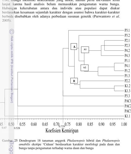Gambar 25 Dendrogram 18 tanaman anggrek Phalaenopsis hibrid dan Phalaenopsis 