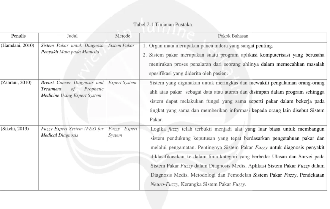 Tabel 2.1 Tinjauan Pustaka 