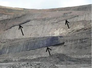 Gambar I.3 Seam batubara (sumber: http://roxar.wordpress.com/2008/12/10/coal- http://roxar.wordpress.com/2008/12/10/coal-fundamental-for-fundamentalist/) 