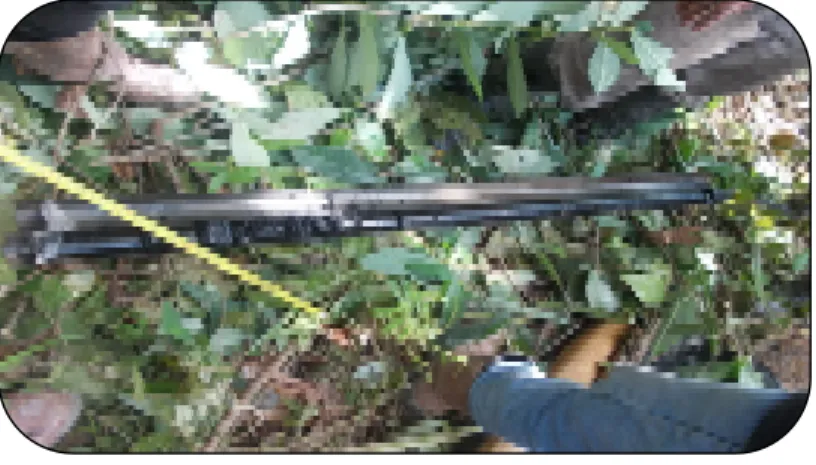 Gambar 2. Hasil coring batubara 