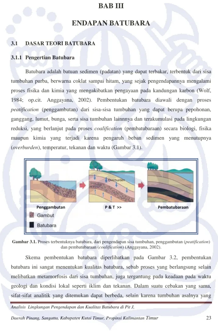 Gambar 3.1. Proses terbentuknya batubara, dari pengendapan sisa tumbuhan, penggambutan (peatification)  dan pembatubaraan (coalification) (Anggayana, 2002)