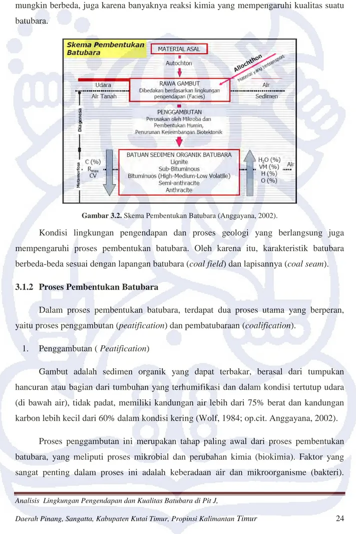 Gambar 3.2. Skema Pembentukan Batubara (Anggayana, 2002). 