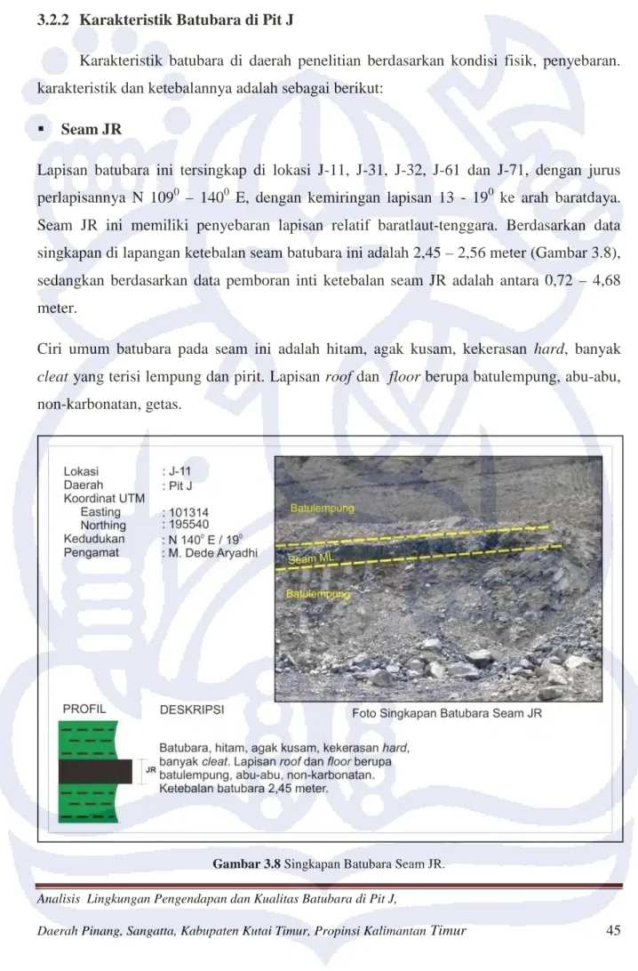 Gambar 3.8 Singkapan Batubara Seam JR. 
