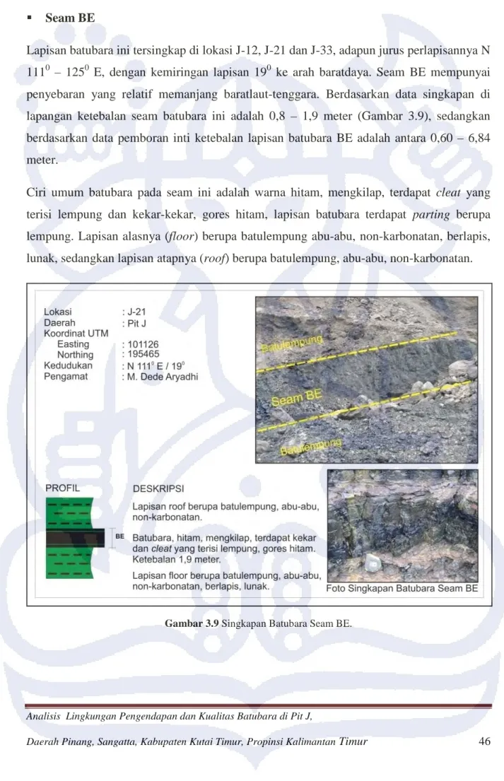 Gambar 3.9 Singkapan Batubara Seam BE. 