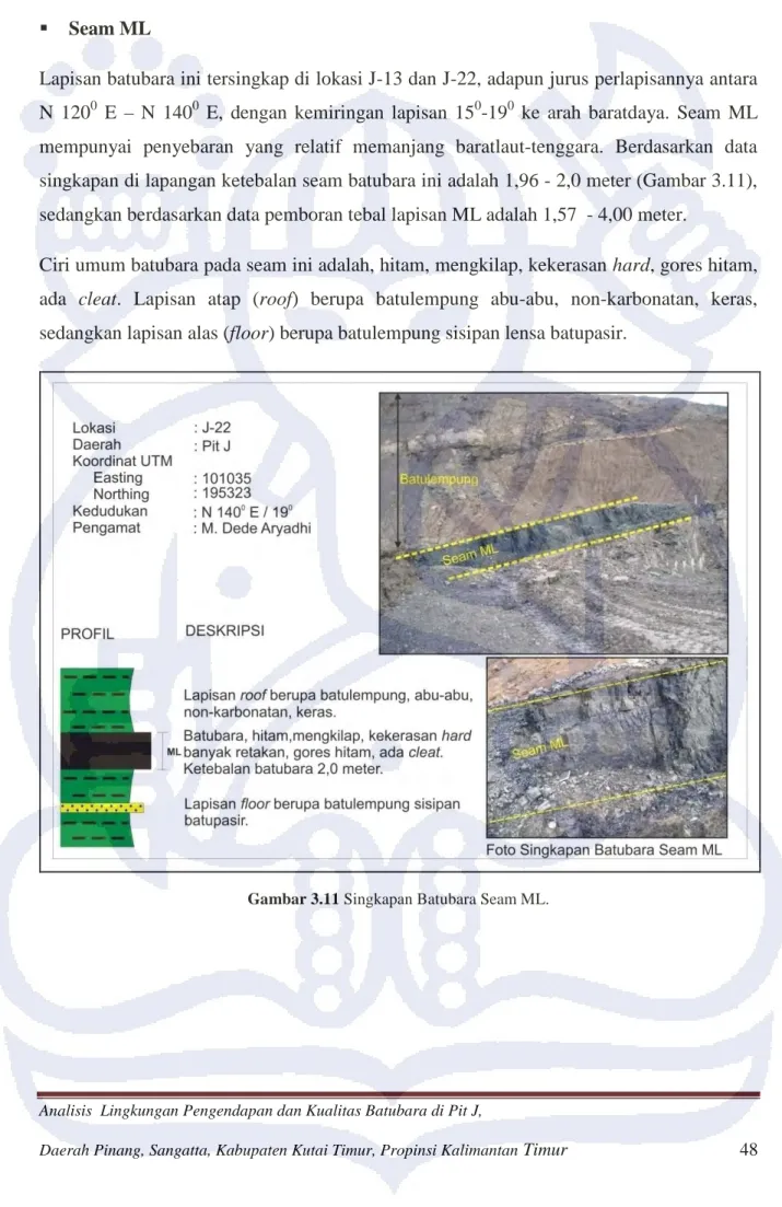 Gambar 3.11 Singkapan Batubara Seam ML. 