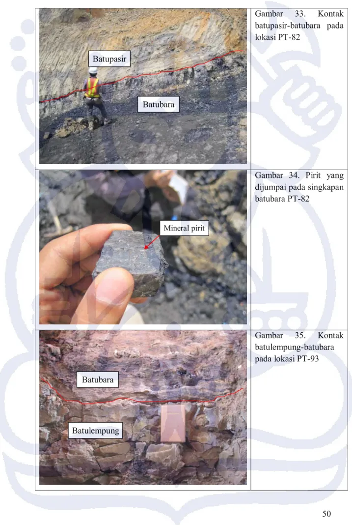 Gambar  34.  Pirit  yang  dijumpai pada singkapan  batubara PT-82  Gambar  35.  Kontak  batulempung-batubara  pada lokasi PT-93 Mineral pirit Batupasir Batubara  Batubara  Batulempung 