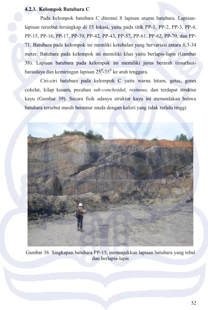 Gambar 38. Singkapan batubara PP-15, menunjukkan lapisan batubara yang tebal  dan berlapis-lapis 