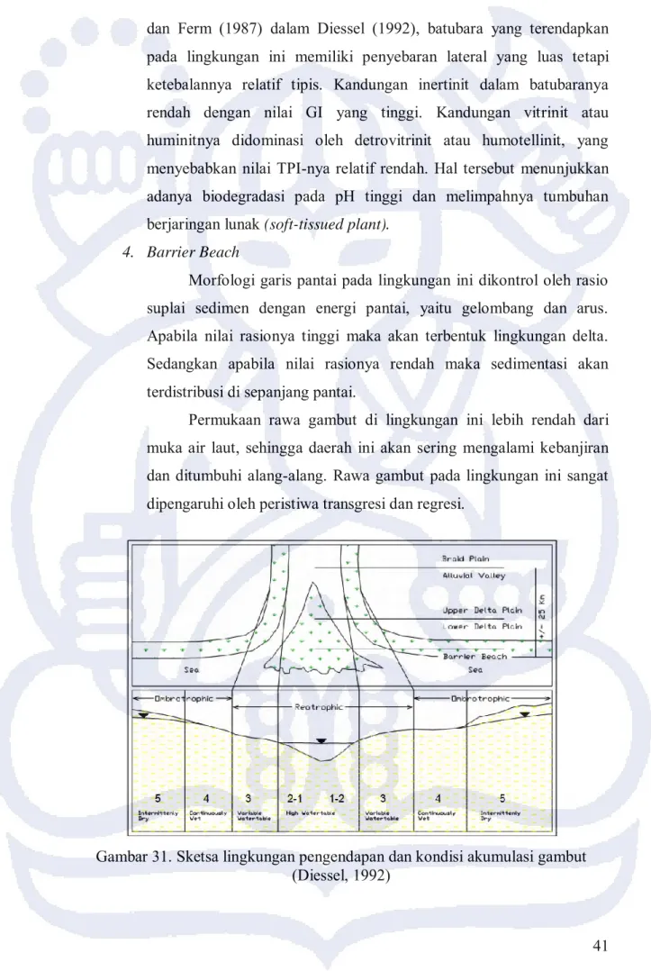 Gambar 31. Sketsa lingkungan pengendapan dan kondisi akumulasi gambut  (Diessel, 1992) 
