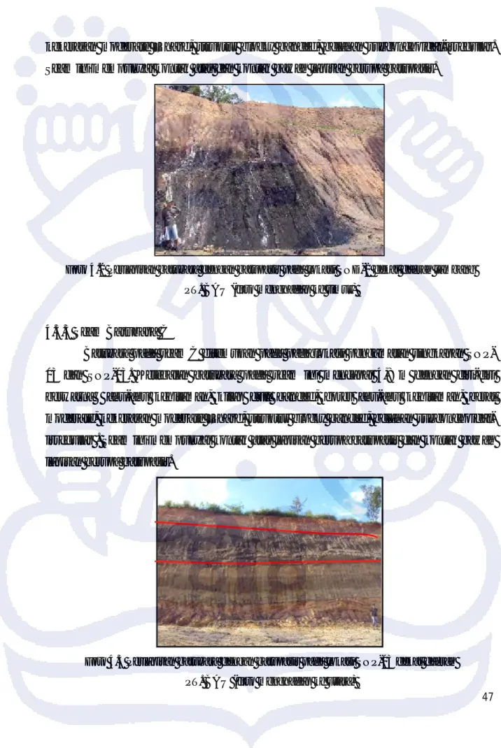 Foto 4.2 Perlapisan batubara dengan batupasir pada lokasi SND-2 dekat daerah tambang  PT