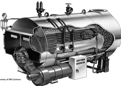Gambar 2.6 Jenis Paket Boiler  (Spirax Sarco) 