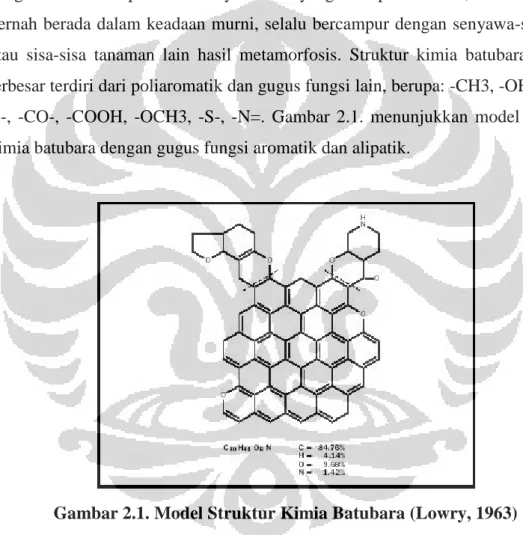 Gambar 2.1. Model Struktur Kimia Batubara (Lowry, 1963) 