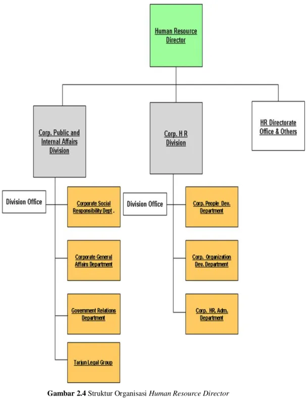 Gambar 2.4 Struktur Organisasi Human Resource Director 