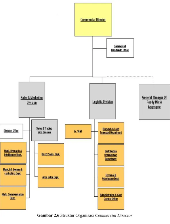 Gambar 2.6 Struktur Organisasi Commercial Director 