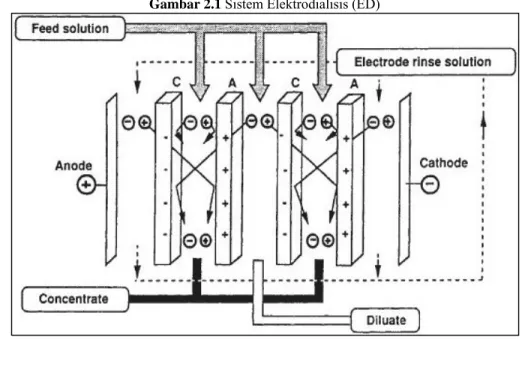 Gambar 2.1 Sistem Elektrodialisis (ED) 