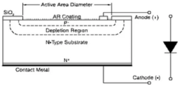 Gambar 2.5. Struktur Photodiode 