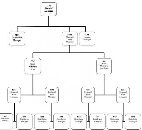 Gambar IV.1. Struktur Organisasi PT.Philips 