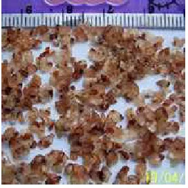 Gambar 3. Hasil sorghum flakes metode A 
