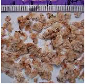 Gambar 6. Hasil sorghum flakes metode C 