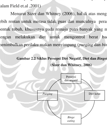 Gambar 2.2 Siklus Persepsi Diri Negatif, Diet dan Bingeing, Purging  (Sizer dan Whitney, 2006) 