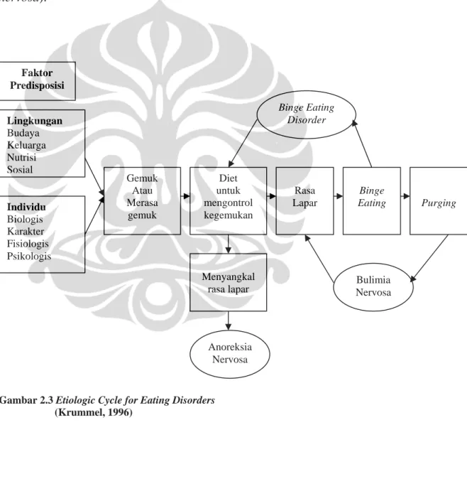 Gambar 2.3 Etiologic Cycle for Eating Disorders                       (Krummel, 1996)Faktor Predisposisi Lingkungan Budaya Keluarga Nutrisi Sosial Gemuk Atau Merasa gemuk  Diet   untuk  mengontrol kegemukan  Menyangkal rasa lapar  Purging Binge  Eating Ras