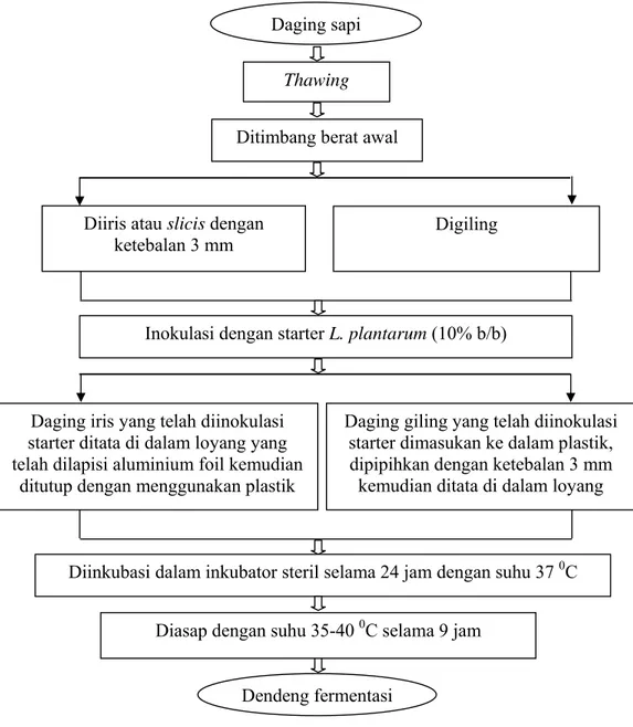 Gambar 3. Diagram Proses Pembuatan Dendeng Fermentasi  Inokulasi dengan starter L. plantarum (10% b/b) 