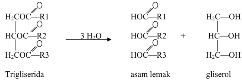 Gambar 2.3  Reaksi hidrolisis trigliserida (Sumber: Boyer, 1986) 
