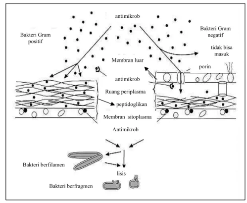 Gambar 2 Mekanisme kerja antimikrob pada bakteri (Maguire 2000) 