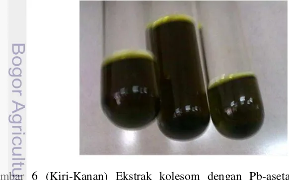 Gambar 6 (Kiri-Kanan) Ekstrak kolesom dengan Pb-asetat dan Na-oksalat, 