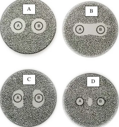 Gambar 2.4 Gambaran efek kombinasi agen antimikroba secara DDT  Keterangan:  A= Kombinasi bersifat aditif 