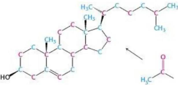 Gambar 1. Struktur kimia kolesterol [17] 