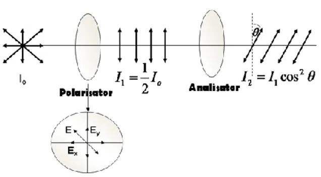 Gambar  2.2  Vektor  medan  E  membentuk  sudut  θ   dengan  sumbu  transisi  sehingga  E  terdiri  dari  komponen  E x  dan  E y  Komponen  E x   diserap  oleh  polaroid dan E y  diteruskan (Tipler, 2001) 