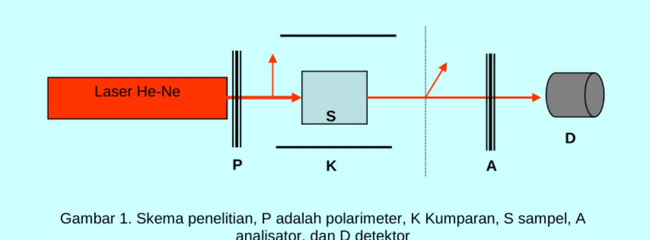 Gambar 1. Skema penelitian, P adalah polarimeter, K Kumparan, S sampel, A  analisator, dan D detektor 
