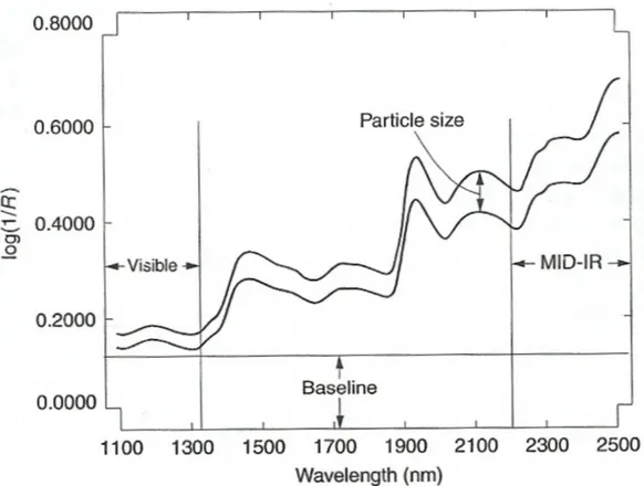 Gambar 3.  Spektra absorbansi NIR pada produk hasil pertanian secara umum (Sumber: Burns dan Ciurzak 2008)