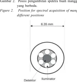 Figure  2.     Position for spectral acquisition  of mango  fruit at two different  positions