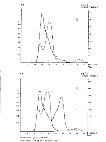 Gambar 4. Kromatograf2 gel dari kompleks Cd protein dalam 