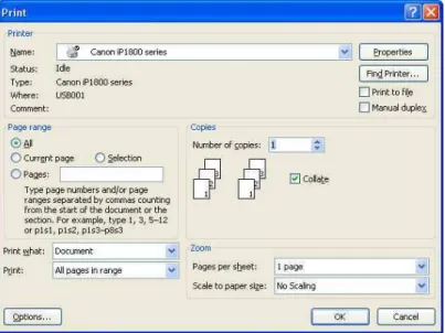 Gambar 4.9. Kotak Dialog Print 