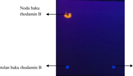 Gambar 2. Kromatogram Rhodamin B dan Sampel 