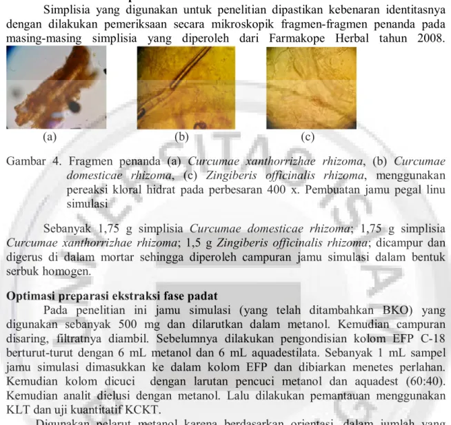 Gambar  4.  Fragmen  penanda  (a)  Curcumae  xanthorrizhae  rhizoma,  (b)  Curcumae  domesticae  rhizoma,  (c)  Zingiberis  officinalis  rhizoma,  menggunakan  pereaksi  kloral  hidrat  pada  perbesaran  400  x