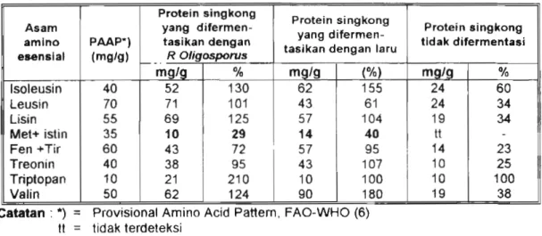 Tabel 5  menunjukkan protein singkong 