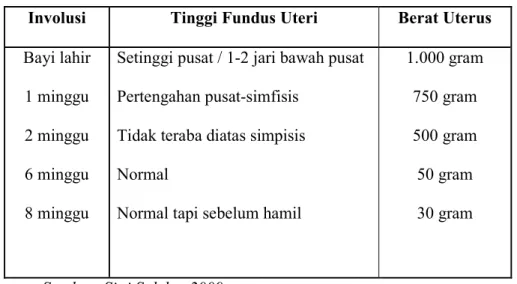 Tabel 2.1   Involusi Uterus 