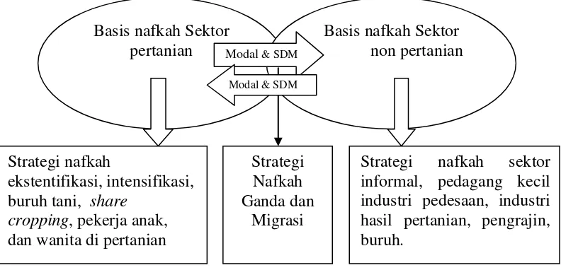 Gambar 1  Mobilisasi modal dan sumber daya manusia (SDM) pedesaan di dua     