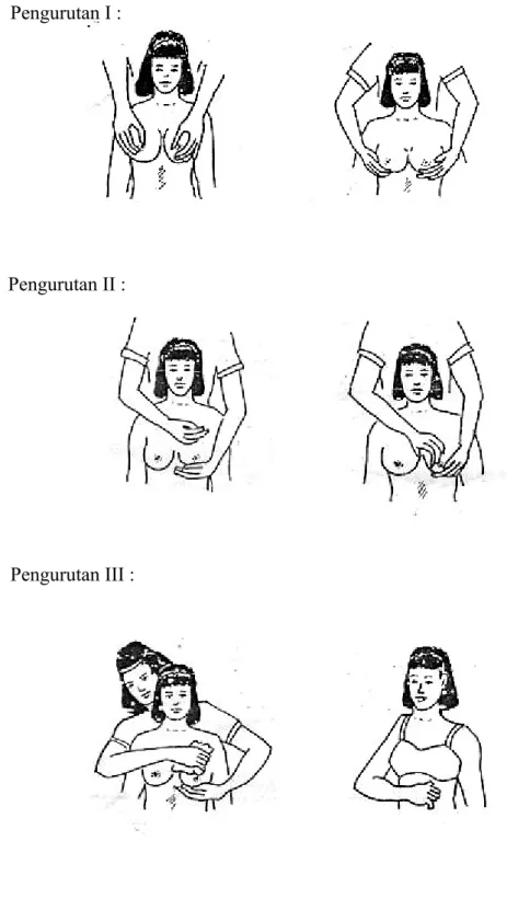 Gambar 2. 4. Teknik Perawatan Payudara Post Partum