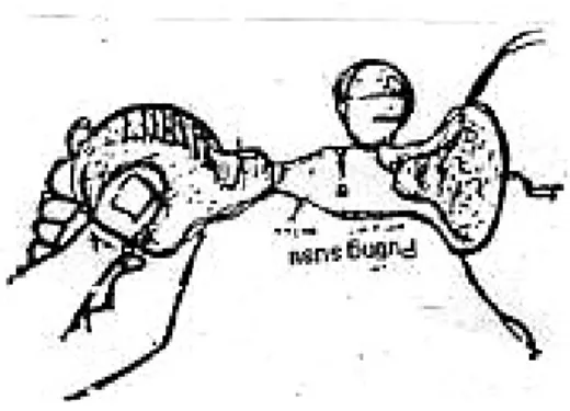 Gambar 2.3. Memompa Payudara 