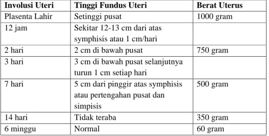Tabel 1. Perubahan-perubahan normal pada uterus selama post partum 