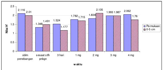 Gambar 7. Indeks keragaman jenis (H’) fauna tanah sebelum dan setelah pembakaran di  hutan Sekunder Haurbentes Jasinga, Jawa barat 