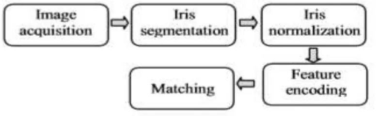 Figure 2.2: Iris recognition system 