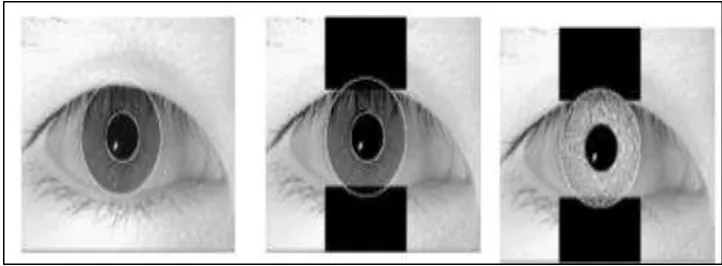 Figure 2.3: Sample of iris images from CASIA 