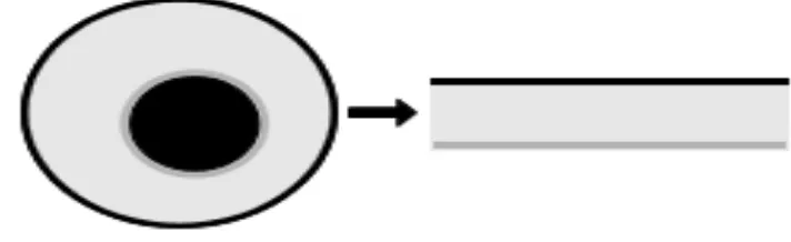 Figure 2.5: Rectangular representation of an iris 